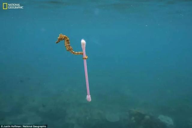 《國家地理》聚焦 “塑料星球”,人類之殤！