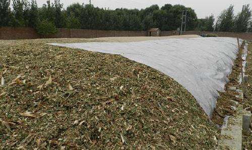 關(guān)注丨珠穆朗瑪峰成了一座“垃圾峰”？