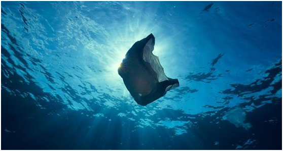 恒譽環(huán)保：引領(lǐng)“塑料回收”新時代，助力解決塑料污染